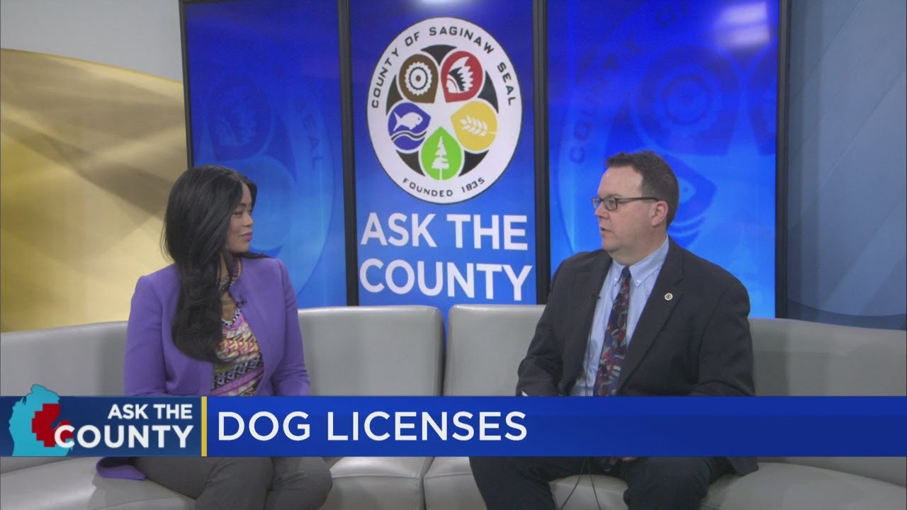 Are Dog Licenses Required In California?