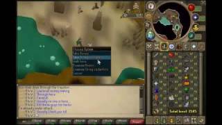 Runescape R 4 W 1 Easy Money Making Guide 1