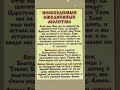 https://dzen.ru/id/68d3d3fe0b39363b49757767?donate=true