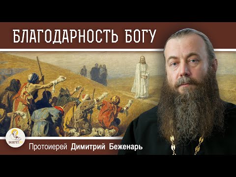 БЛАГОДАРНОСТЬ БОГУ. Евангельский урок. Протоиерей Димитрий Беженарь