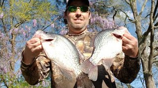 Longlining with jigs for SLAB crappie on Lake Wateree