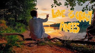 Anees - Love Is Crazy (Lyric Video)