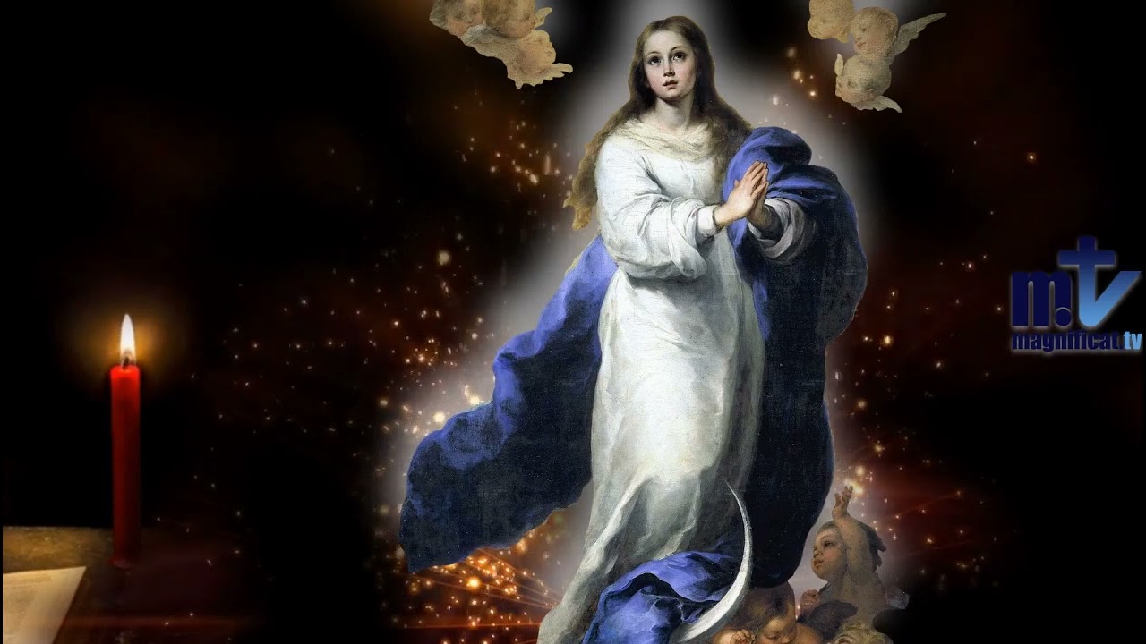 Download Oración a María | Día 15 | Magnificat.tv