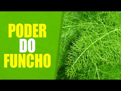 Vídeo: Funcho - Propriedades Benéficas, Uso De Frutas E Folhas