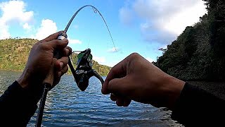 冬だトップだ連続ヒットだ！【沖縄ルアーフィッシング】【トップゲーム】 screenshot 1