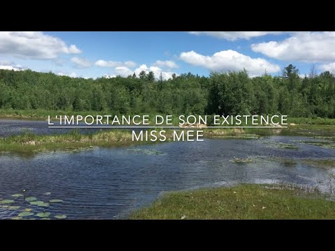 Miss Mee - L'importance de son existence