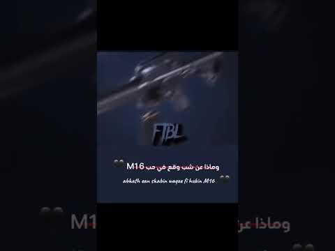 16 السمرة فلسطين