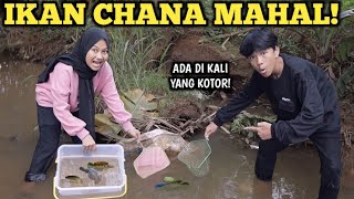 DESMA AJAK RIO BERBURU IKAN CHANA DI KALI YANG KOTOR