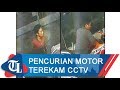 Pencurian motor terekam cctv  tribun lampung news
