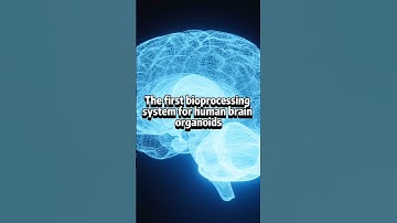 Brain Organoids: The Future of Computing?