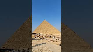 251118 Ägypten Kairo - an den Pyramiden #pyramids #egypt