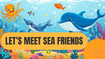 Meet 12 Amazing Ocean Animals! Fun Sea Creature Facts for Kids | Underwater Sea Adventure