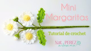 Mini Margaritas a crochet o ganchillo