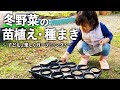 【子どもと楽しく】寒い冬の時期にビニール温室で野菜とお花を育てます