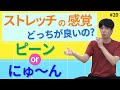 ストレッチの感覚 どっちが良いの？「ピーン」or「にゅ～ん」【第20話】