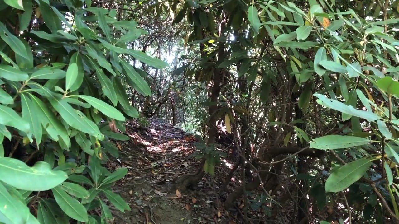 Shakedown for the Appalachian Trail Day 1