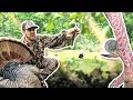GONE WRONG!  Shot the beard off my TROPHY TURKEY! - 3 Person Spot &amp; Stalk