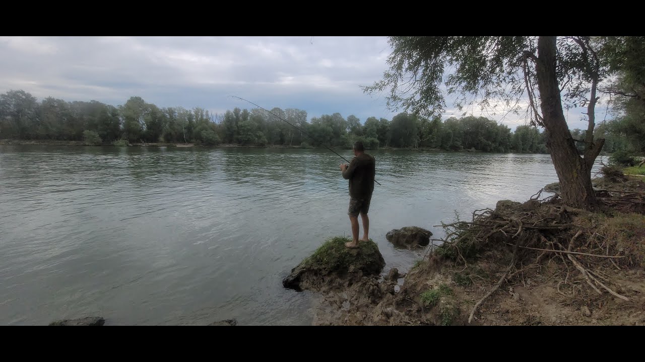 Crapii au tras nebuneste intr-o zi de vara noroasa la pescuit pe Dunare