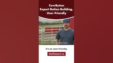 How CowBytes offers user-friendly ration balancing