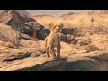 Mufasa the lion king official trailer