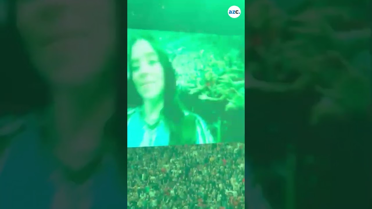 Billie Eilish grabbed by fan during Miami concert