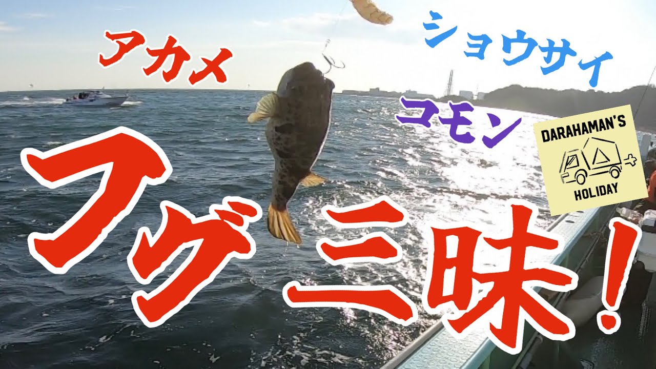 【東京湾ふぐ】小さなアタリに即アワセ！！