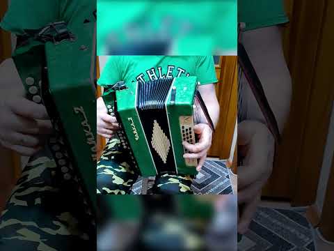Проверка звучания Гармонь чайка 2 теза после настройки 3 аккорда 300 песен