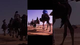 Discover Morocco's Magic: Sahara Camel Ride & Exploring Fez's Ancient Soul #Shorts #travel
