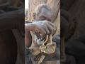 This ЁЯдй Lovely Food Hadzabe Tribe Eating Lunchtime ЁЯШЛ This ЁЯдй Lovely Food Hadzabe Tribe Eating Lunchtime ЁЯШЛ
