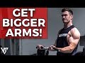 Biceps & Triceps Workout for Bigger Thicker Arms