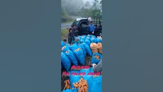 pasukan tim PALATO NYAWA💪💪