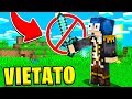 MINECRAFT MA È VIETATO UTILIZZARE LE ARMI! w/TheMark