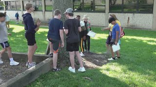 Middle school students hold immersive cicada experience