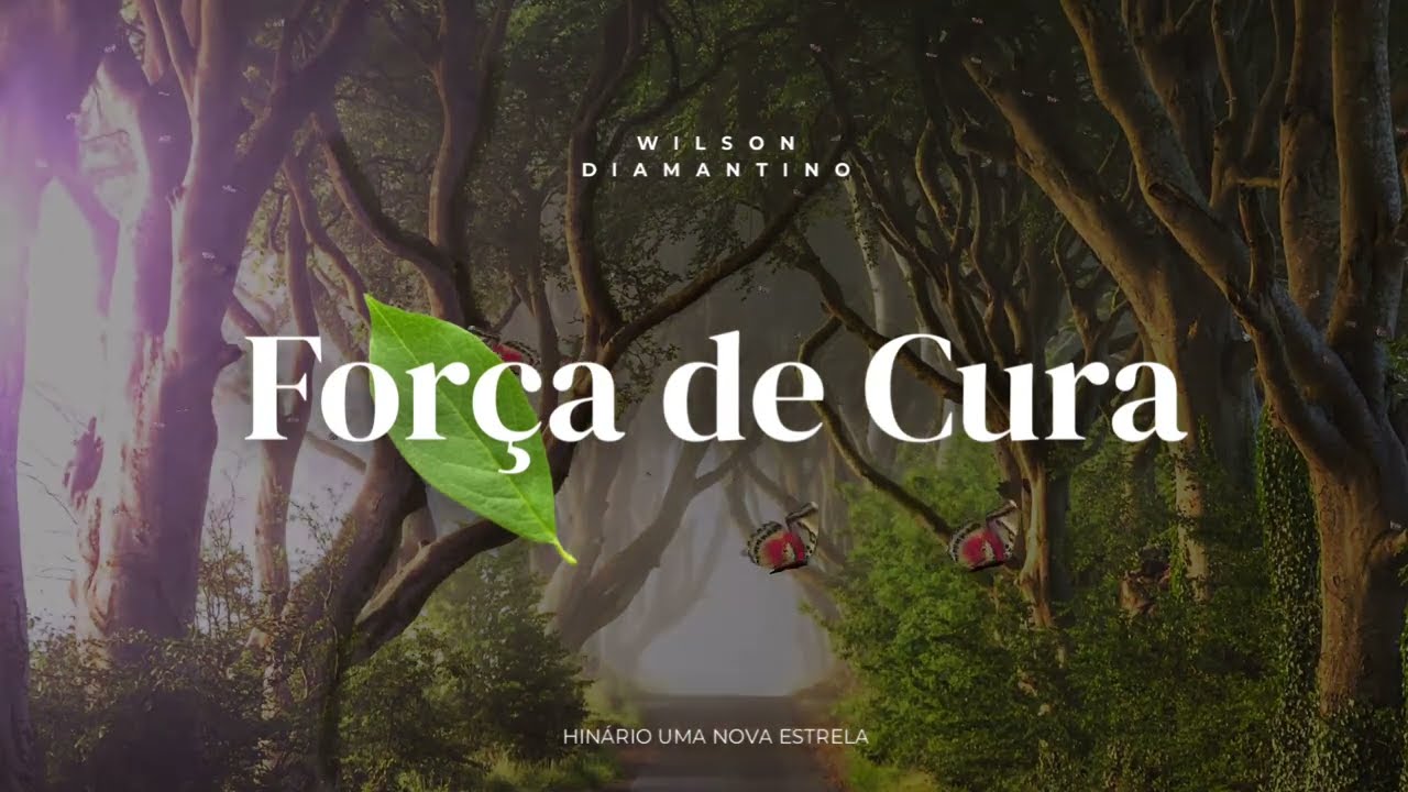 FORÇA DE CURA - WILSON DIAMANTINO _ Santo Daime