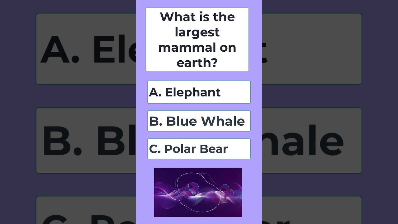 What is the largest mammal on earth? - Largest mammal on earth
