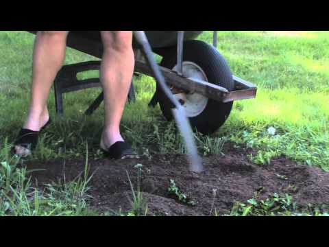 How to Grow With Clay Soil