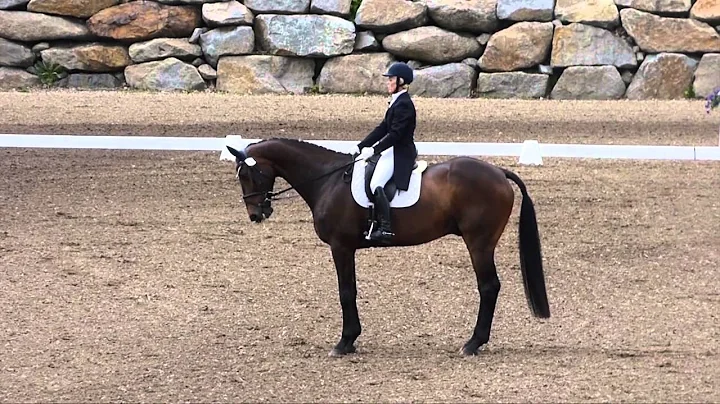 2014 Bromont CCI3*: Jennie Jarnstrom & CapeTown (D...