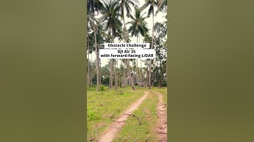 DJI Air 3S Obstacle Avoidance Test — Ultimate Palm Tree Challenge (Guess How Many It Detects!)