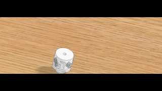 Complicated Precession of Noah's Cooper Dreidel SolidWorks: Result Hei