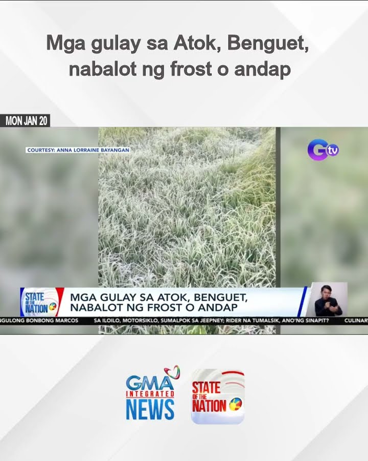 Mga gulay sa Atok, Benguet, nabalot ng frost o andap | SONA