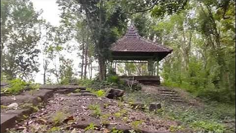 MISTERI POHON KRAMAT DI GUNUNG PEGAT