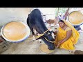 गाय, भैंस का दूध बढ़ाने का घरेलू नुस्खा | How to Desi formula increase for milk of cow, Buffalo