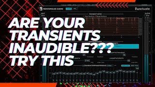 How I Use Newfangled Audio - Punctuate