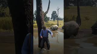 Best Survival Skills vid655 #shortsvideo