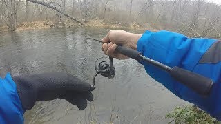 All Brown trout