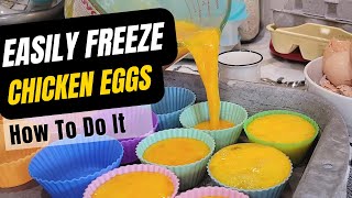 What You Need to Know to Freeze Chicken Eggs