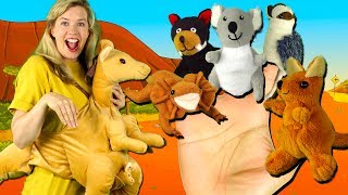 australian animals finger family song finger family nursery rhymes