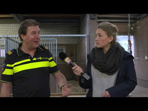 Video: Verschil Tussen Vacht En Overjas