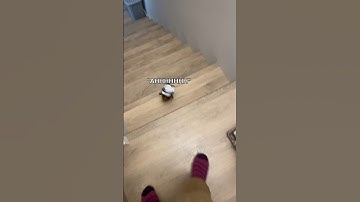 My robot boyfriend is so brave 😍 #robot #longdistance #couples #relationship