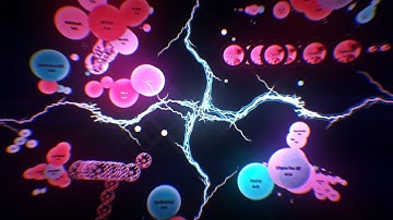 Senpa.io | Marcelox3